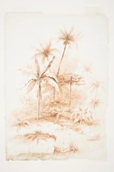 Végétation tropicale, îles Loyauté